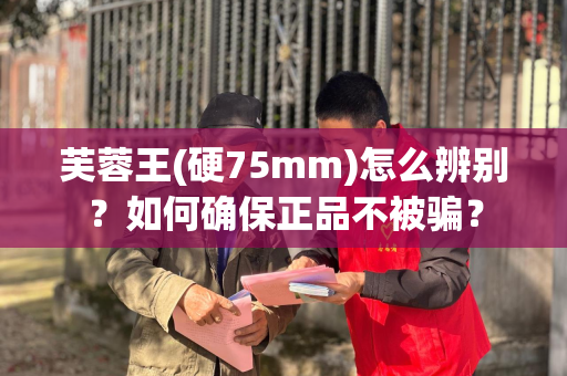 芙蓉王(硬75mm)怎么辨别？如何确保正品不被骗？